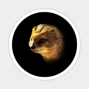 Yellow mongoose Magnet